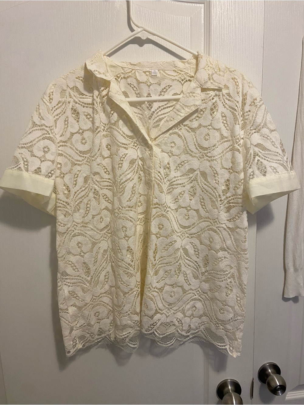 Cream almost light yellow Lace Short-Sleeve Button Front Blouse Lauren Conrad (?